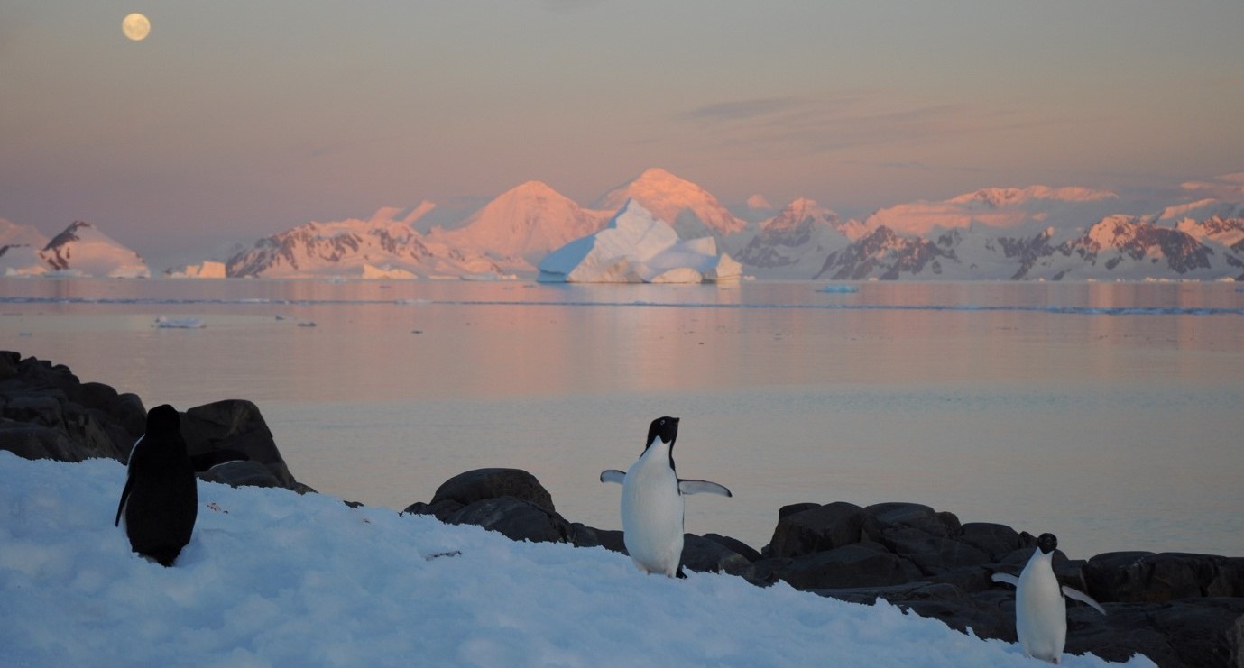 New Antarctic extremes ‘virtually certain’ as world warms - University of Exeter News