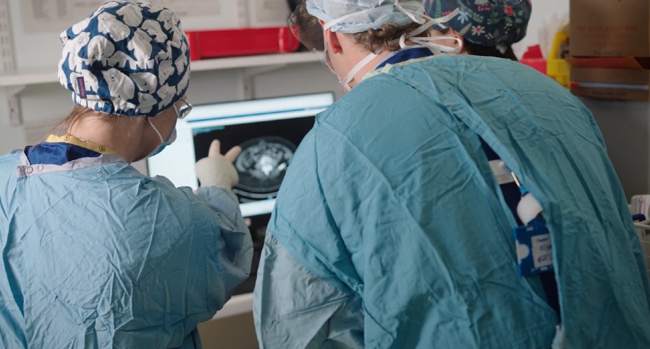 New research confirms HPV vaccination prevents cervical cancer - University of Exeter News