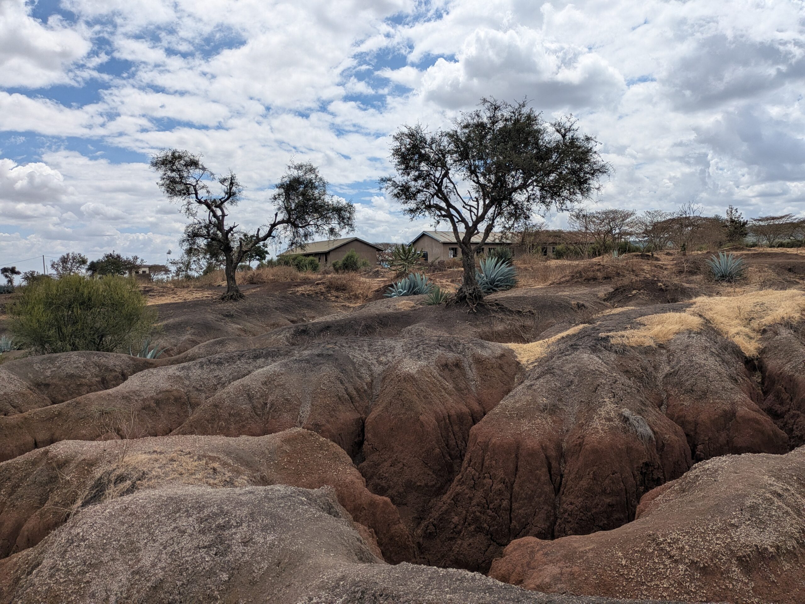 Cracks in the earth - major gully erosion poses humanitarian crisis threats - Griffith News