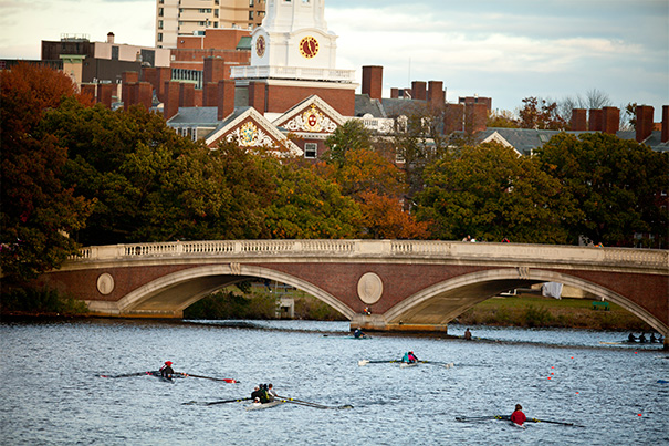 Support for seven from president’s climate fund — Harvard Gazette