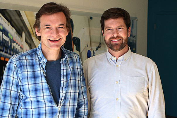Stem cell lines grown in lab dish may acquire mutations — Harvard Gazette