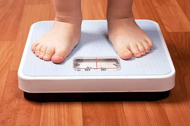 Alarming obesity projections in Harvard research — Harvard Gazette