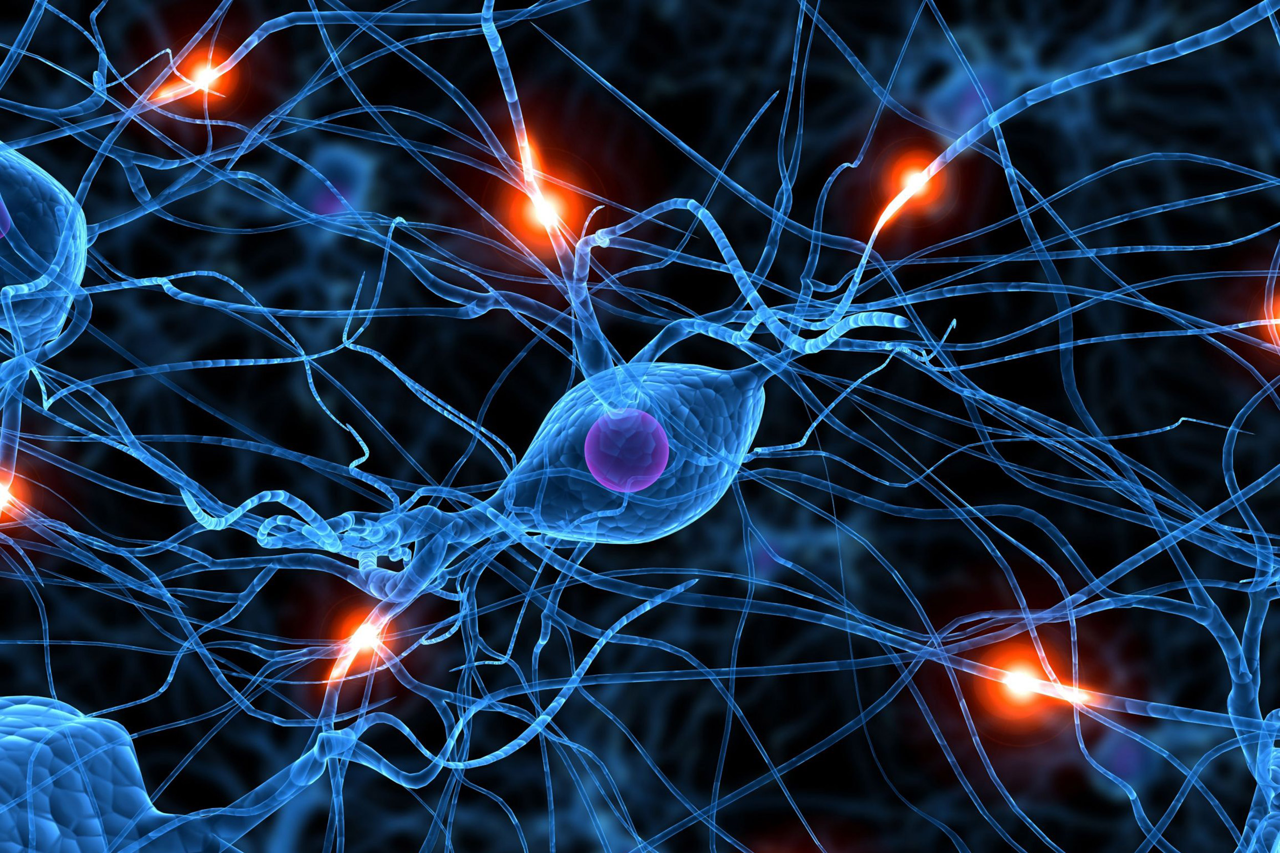 New study clarifies gut-brain connection and MS progression — Harvard Gazette