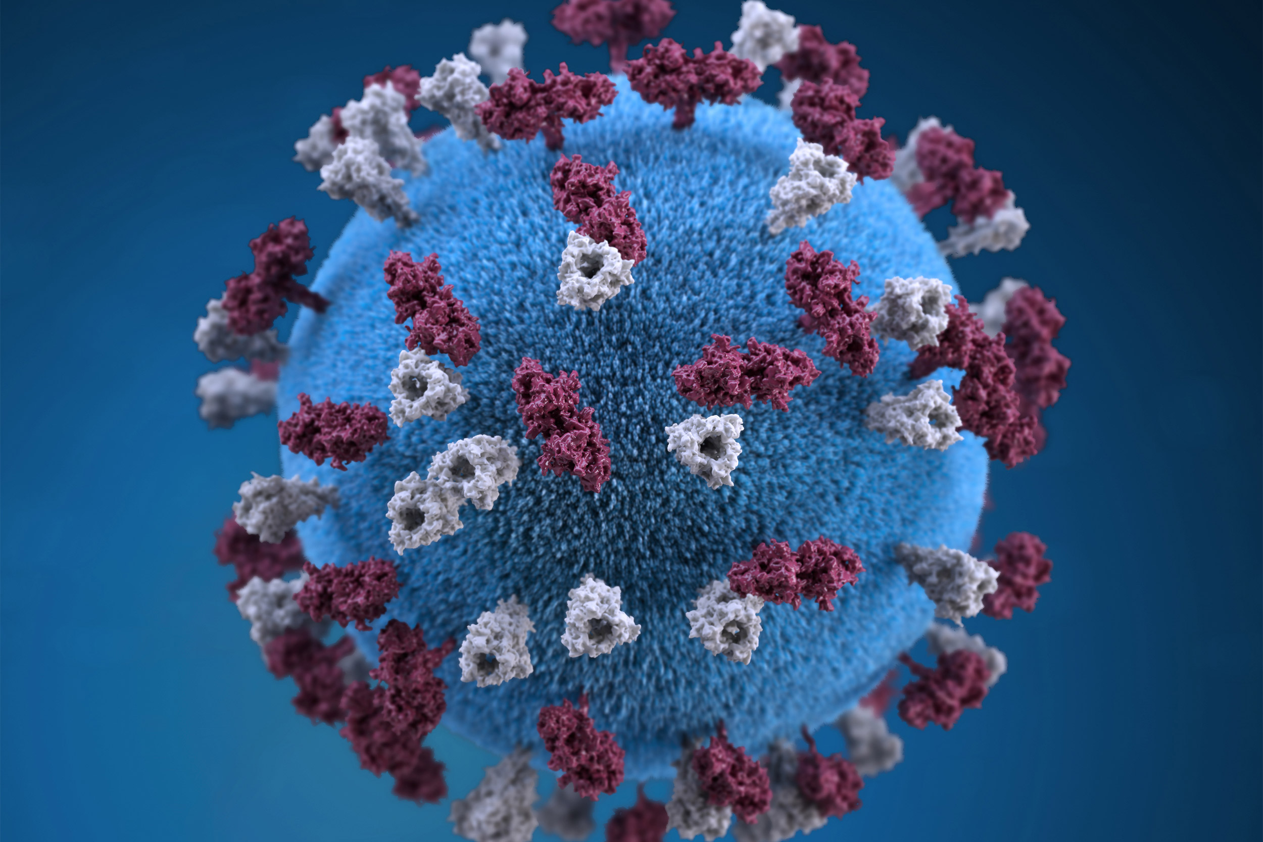 Study suggests how measles depletes body’s immune memory — Harvard Gazette