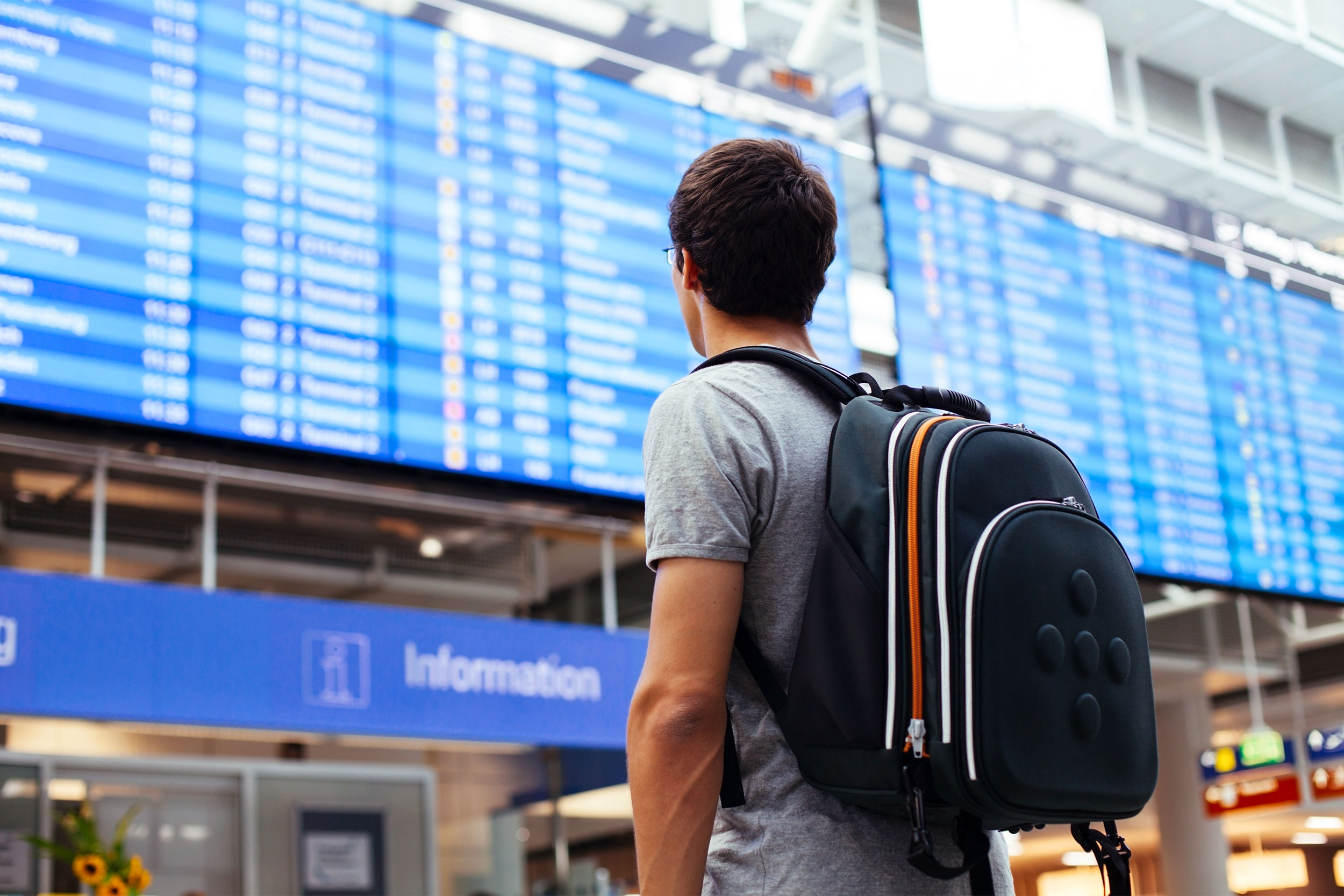 What new U.S. travel rules mean for foreign students, scholars — Harvard Gazette