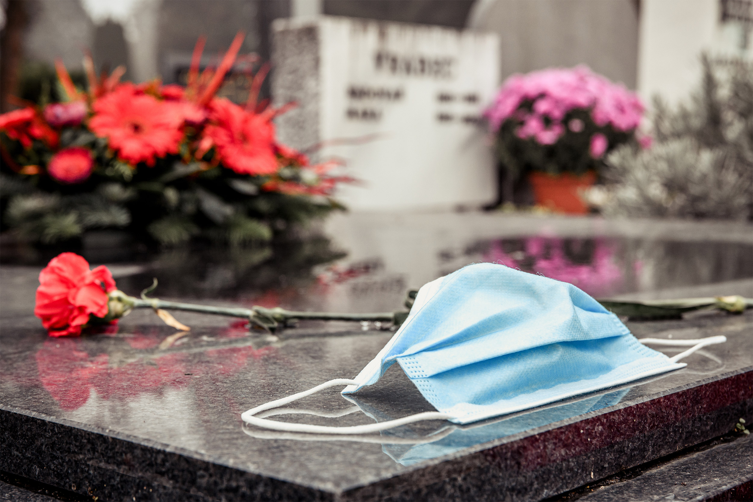 Study predicts COVID-19 deaths will rebound when all restrictions are lifted — Harvard Gazette