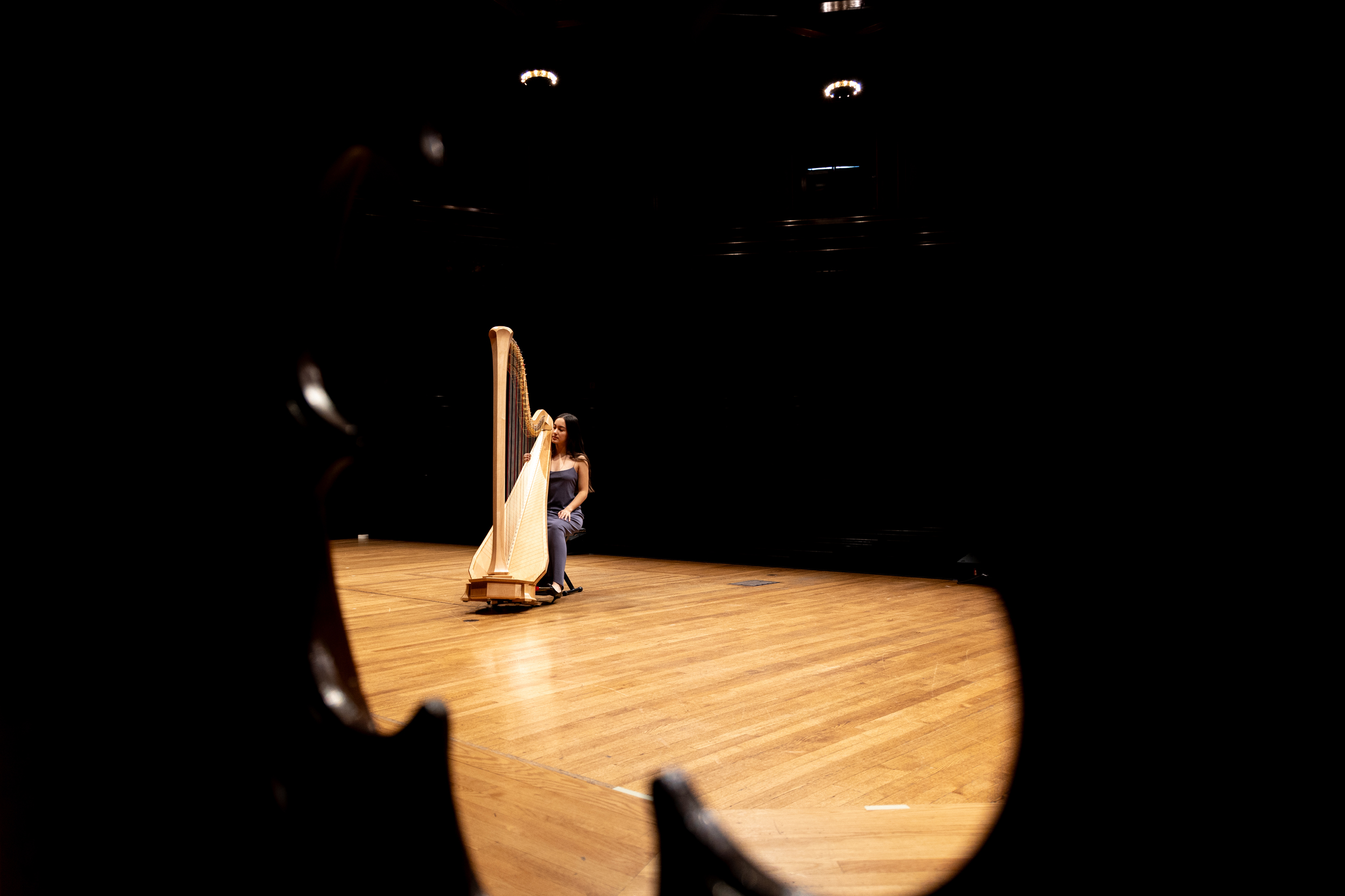 Instruments of change— Harvard Gazette
