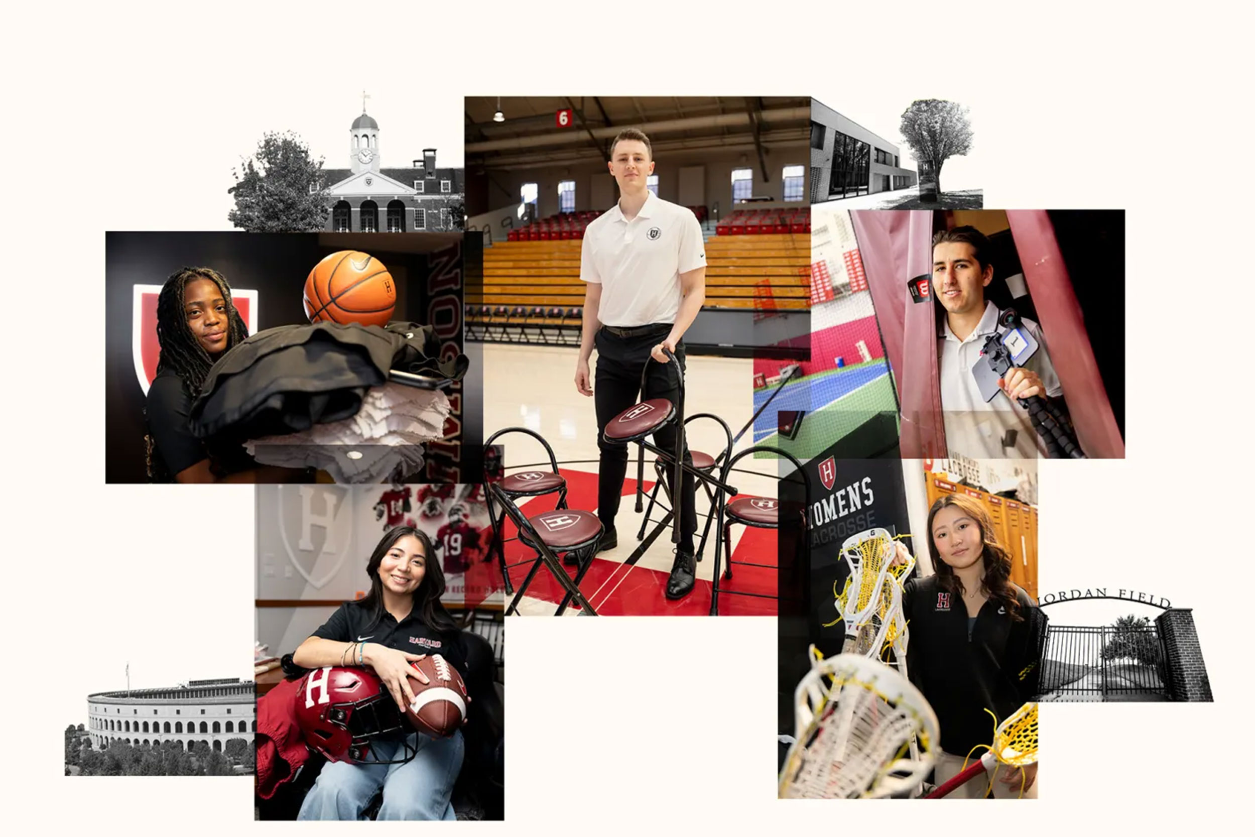 The team behind the team — Harvard Gazette — Harvard Gazette