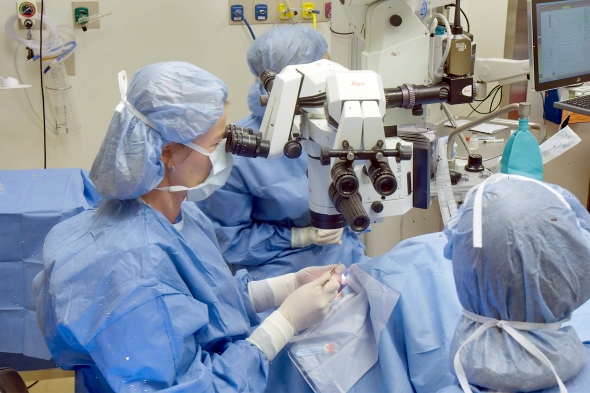 New hope for repairing eye damage once thought untreatable — Harvard Gazette