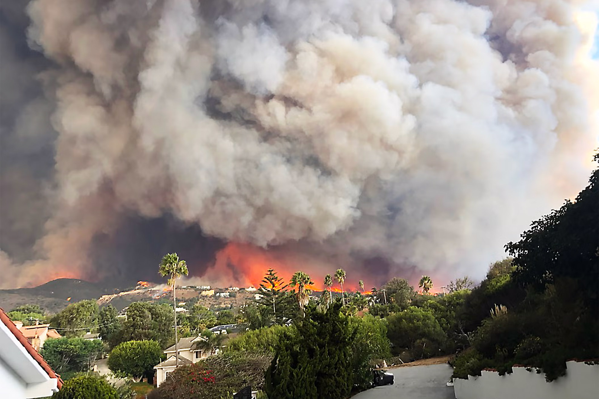 Wildfire smoke can harm heart and lungs even after the fire has ended — Harvard Gazette