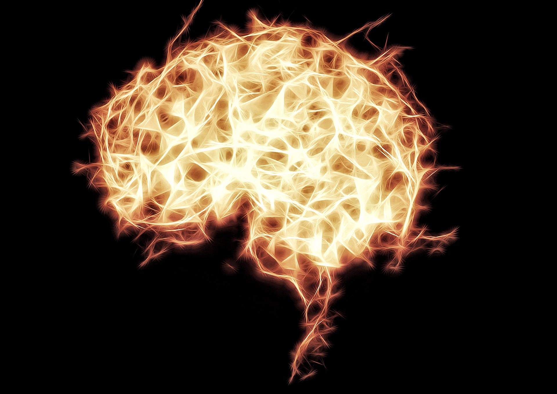 Can revenge be addictive? — Harvard Gazette