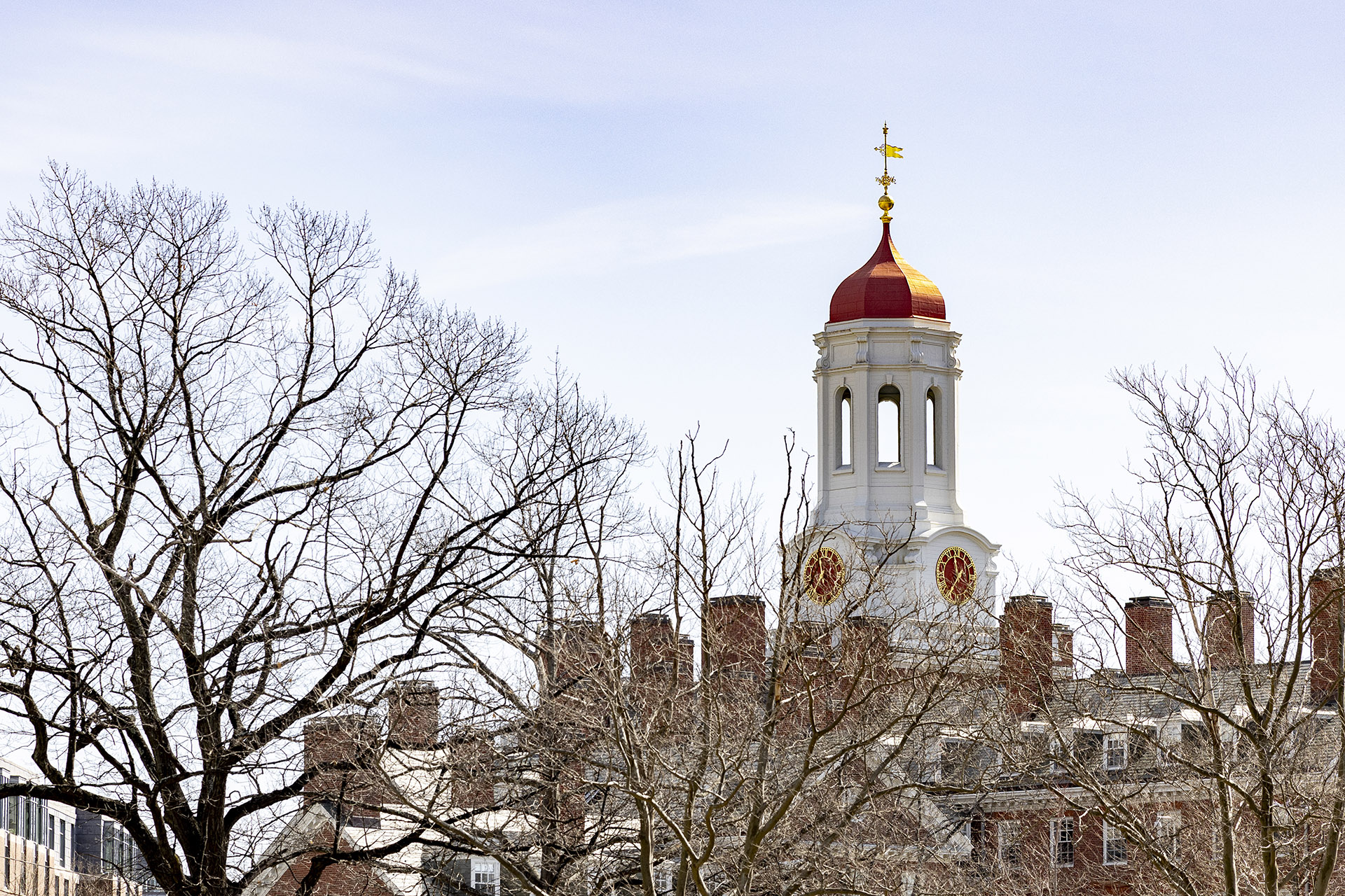 Alumni committee names candidates for Harvard board elections — Harvard Gazette