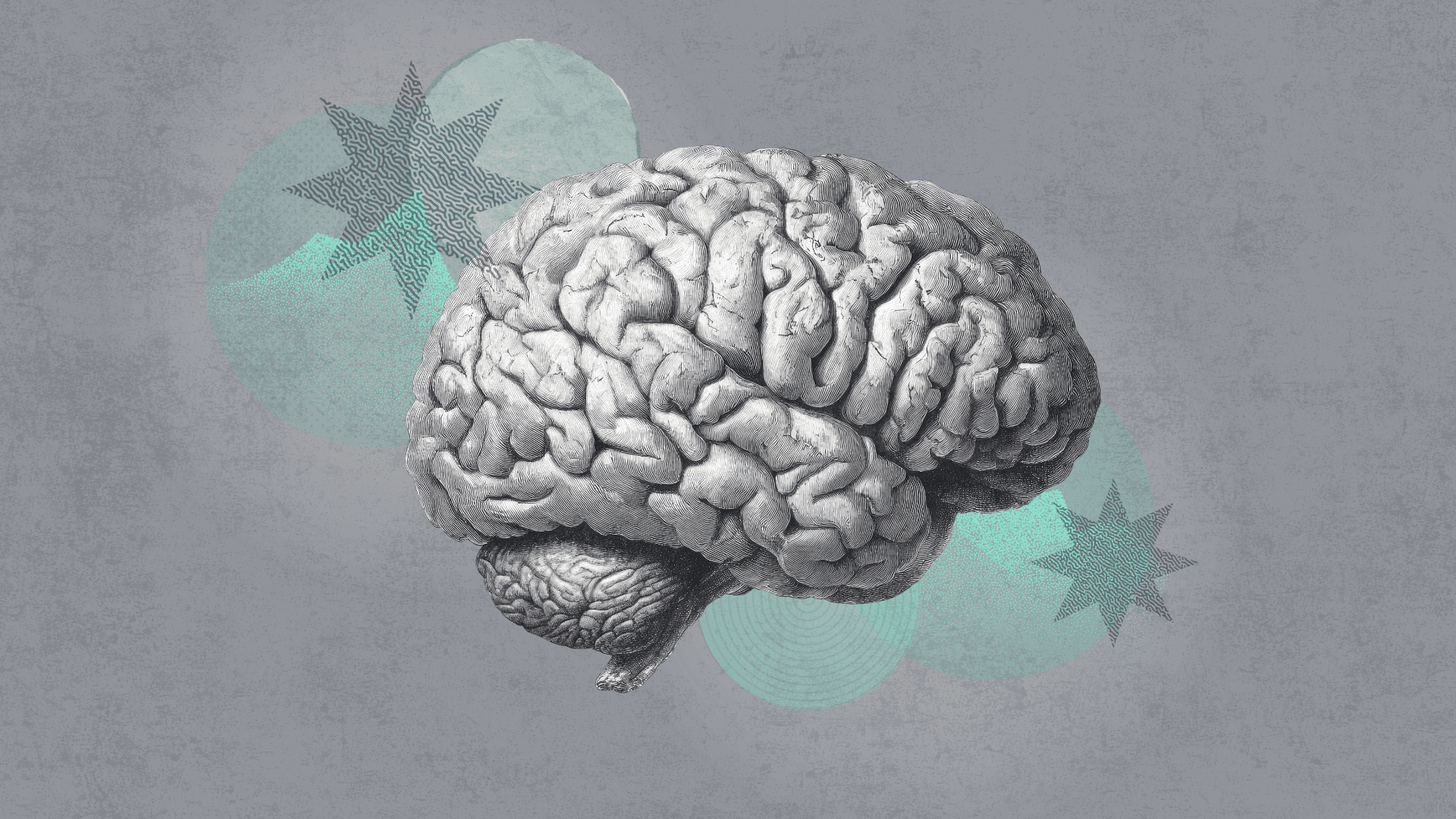 How super-agers keep their brains young — Harvard Gazette