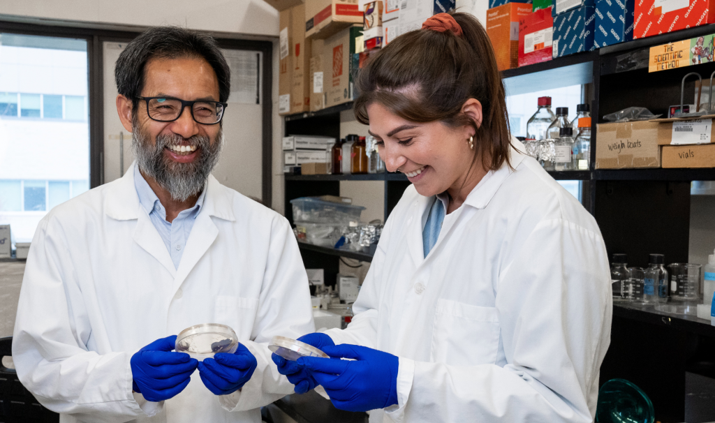 The birds and the bees — and the fungi, too: McMaster study reveals how disease-causing fungi reproduce in nature - McMaster News