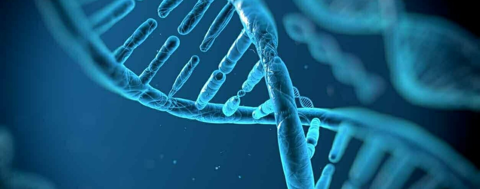 ‘Silent’ mutations found to have repercussions beyond their own gene | News | Notre Dame News | University of Notre Dame
