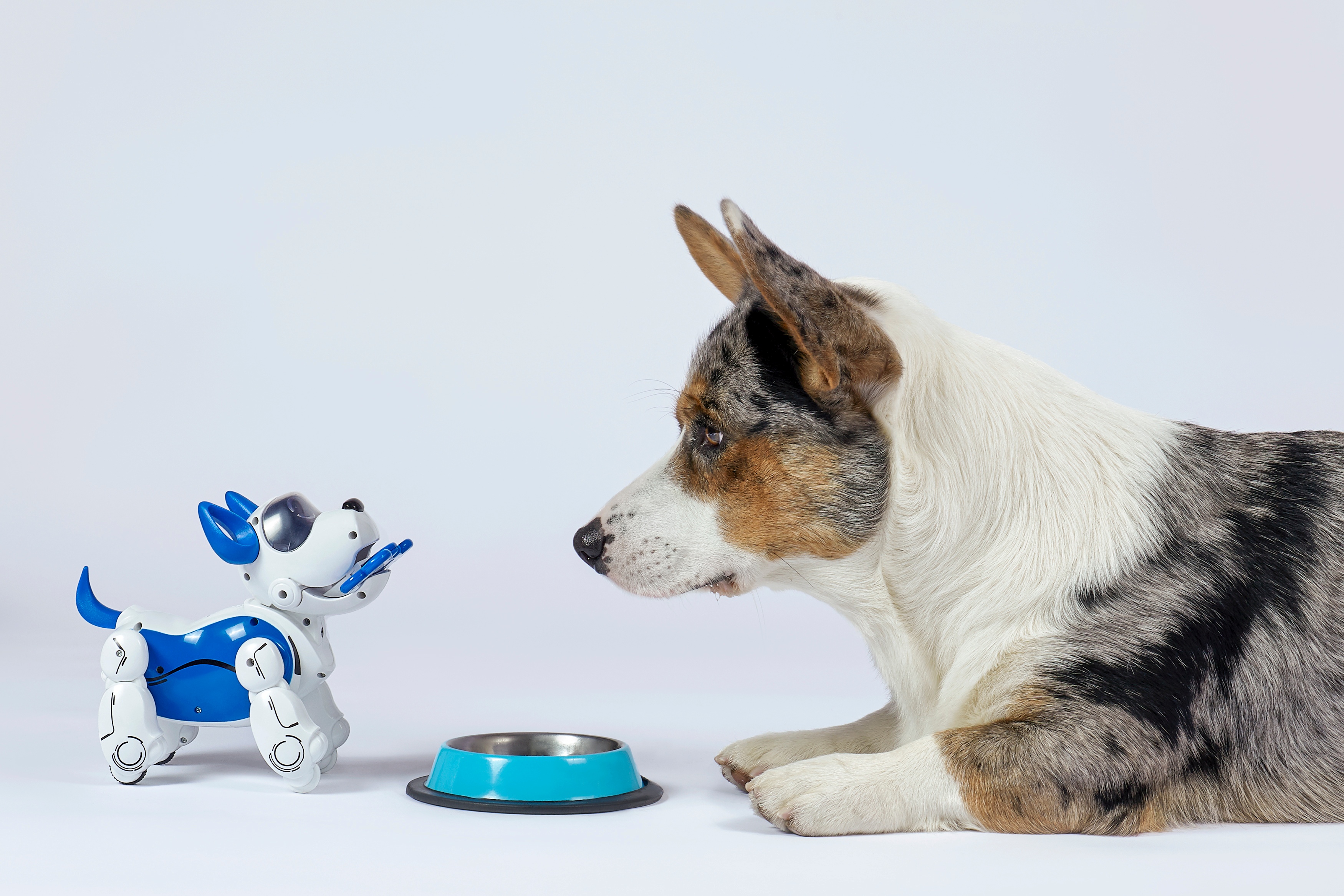 Cute robots are saving the world
