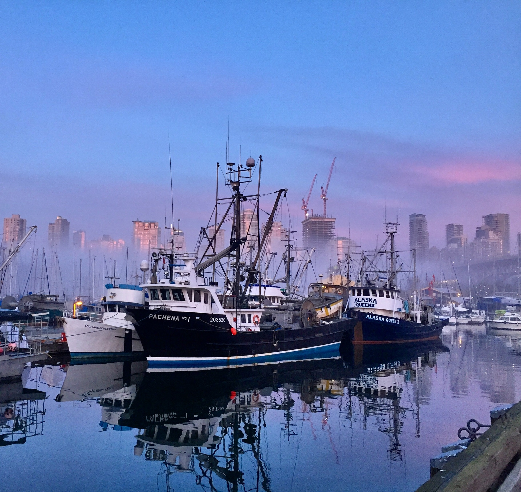 Climate change has fish moving faster than regulations can keep up