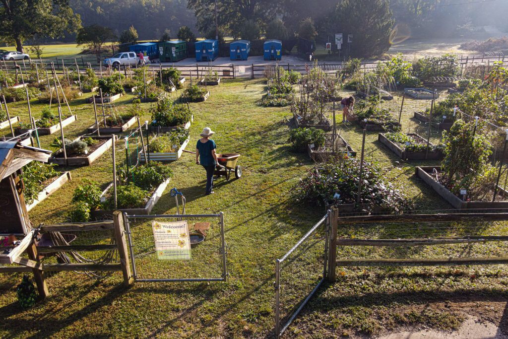 Sahm Awards fund new projects, enhance UGA and ACC partnership - UGA Today