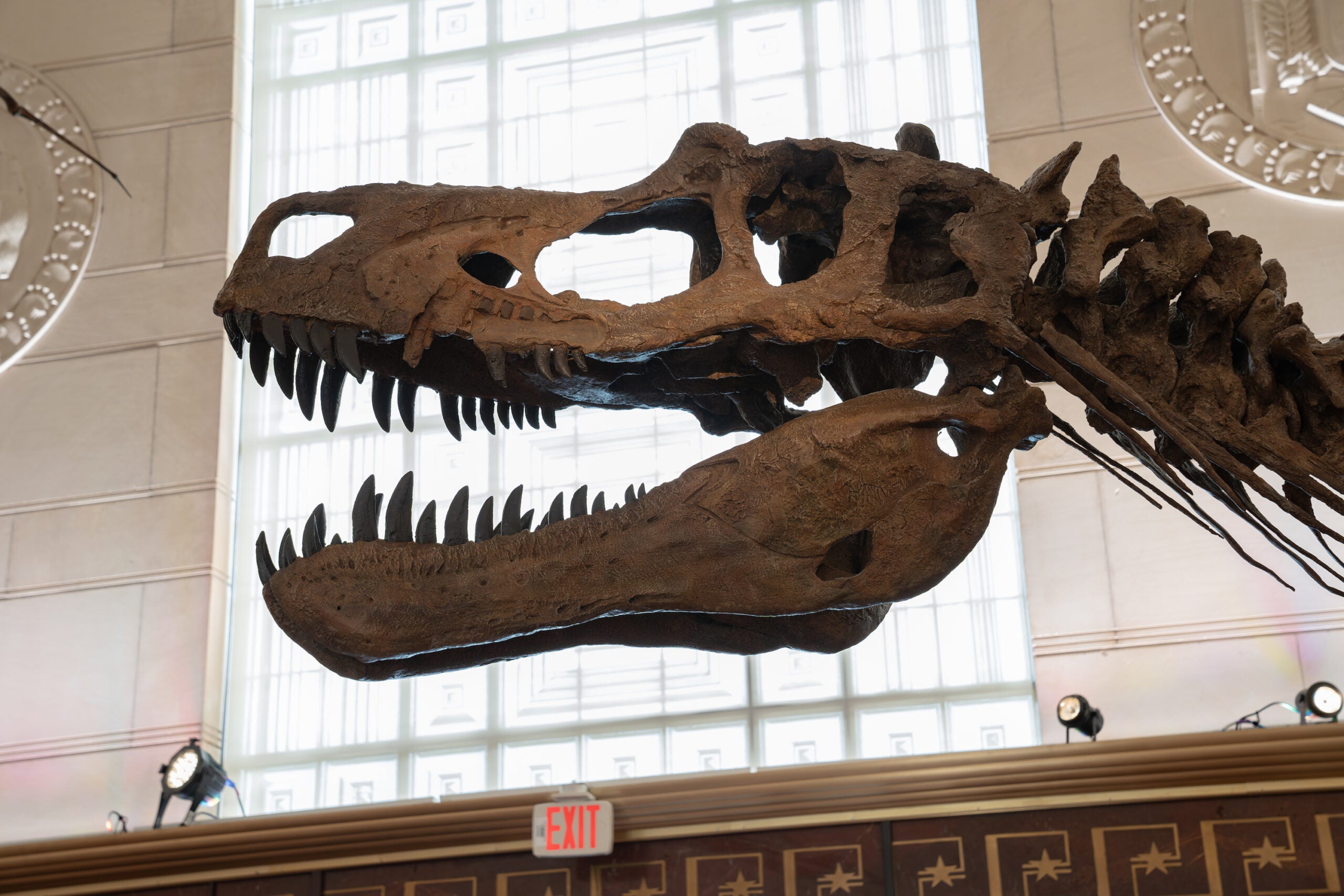An Evolving Texas Memorial Museum Opens Again - UT Austin News - The University of Texas at Austin