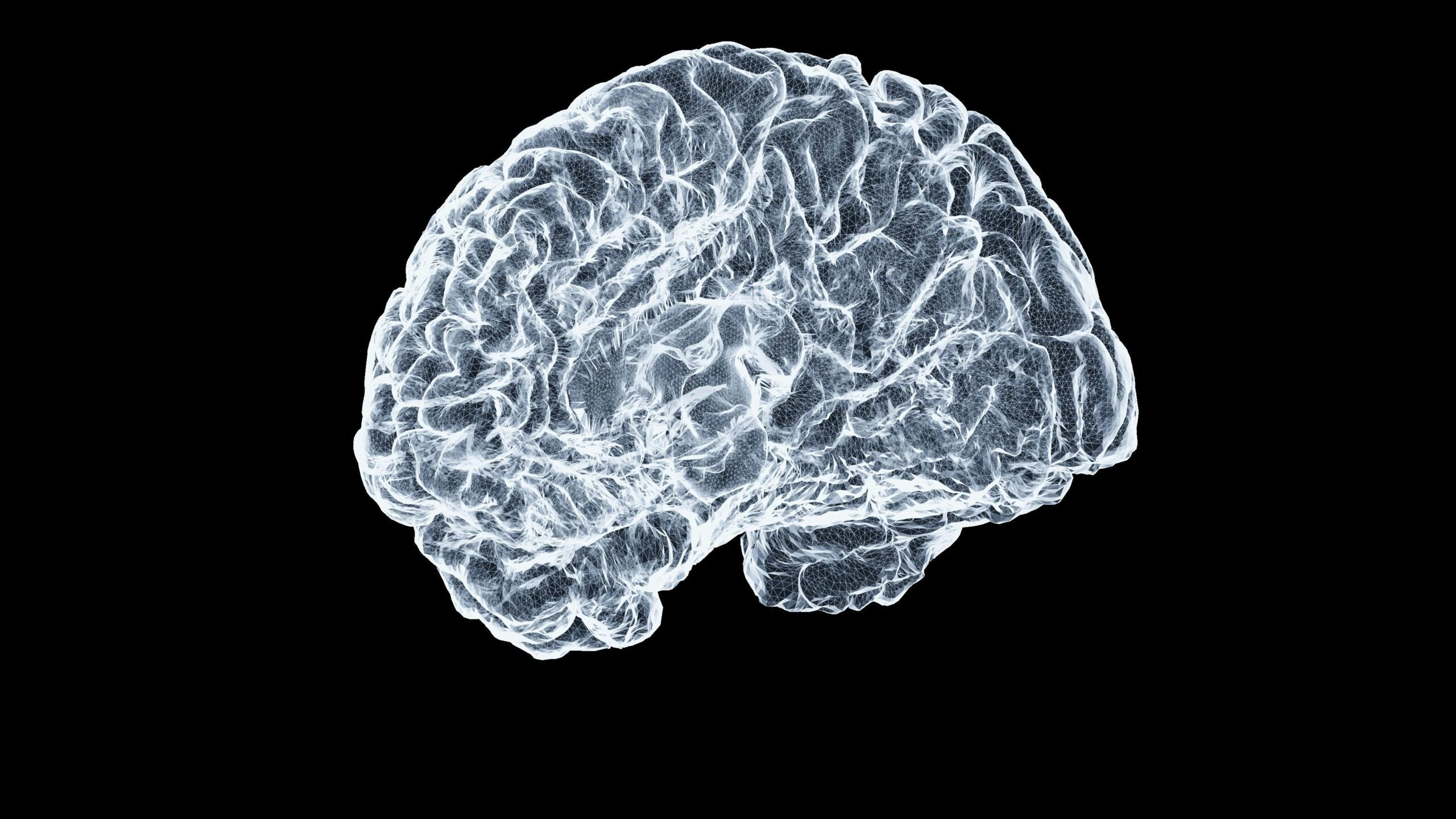 Tackling Dementia From Every Angle - UT Austin News - The University of Texas at Austin