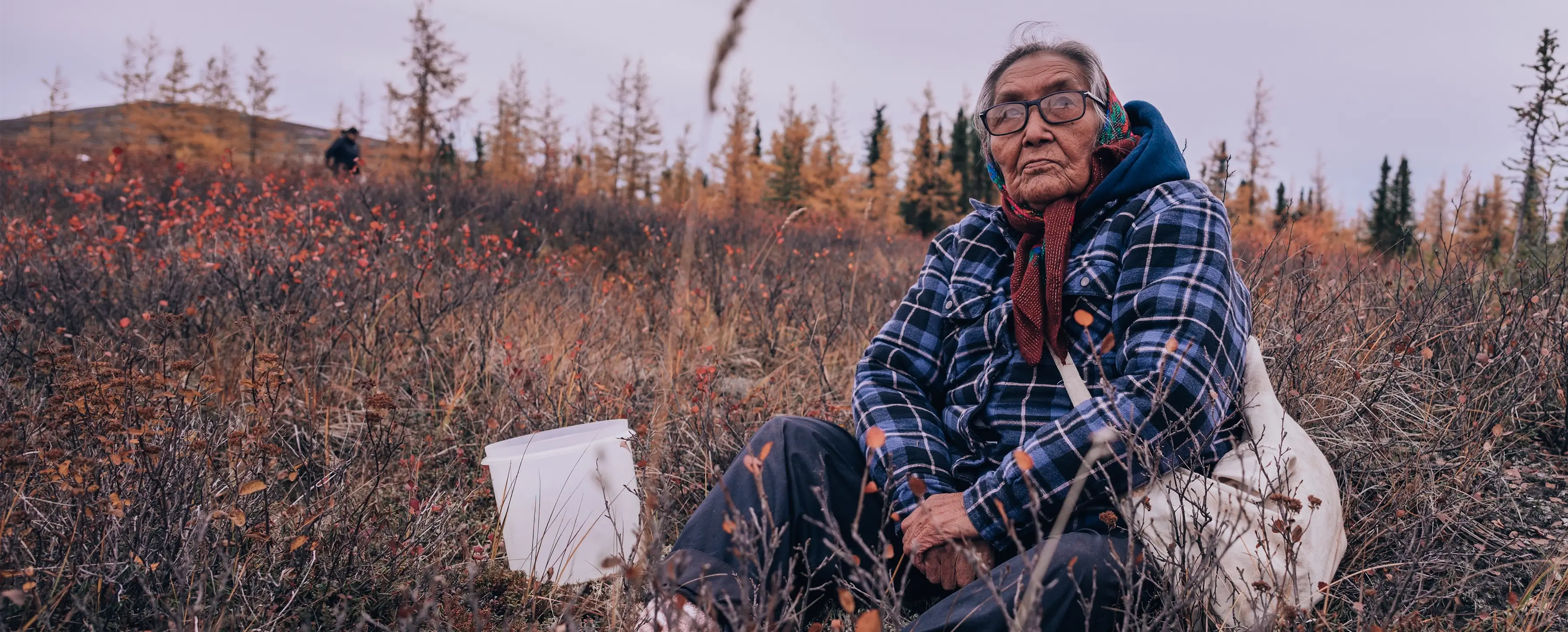 Arctic climate action award highlights collaborative research - UVic News