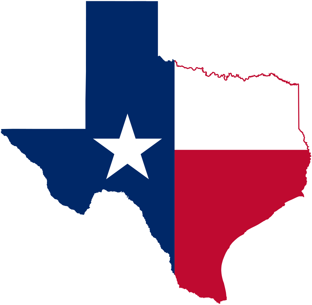 Texas Democrats Demand Release of Palestinian Woman Held at ICE Facility - News Facts Network