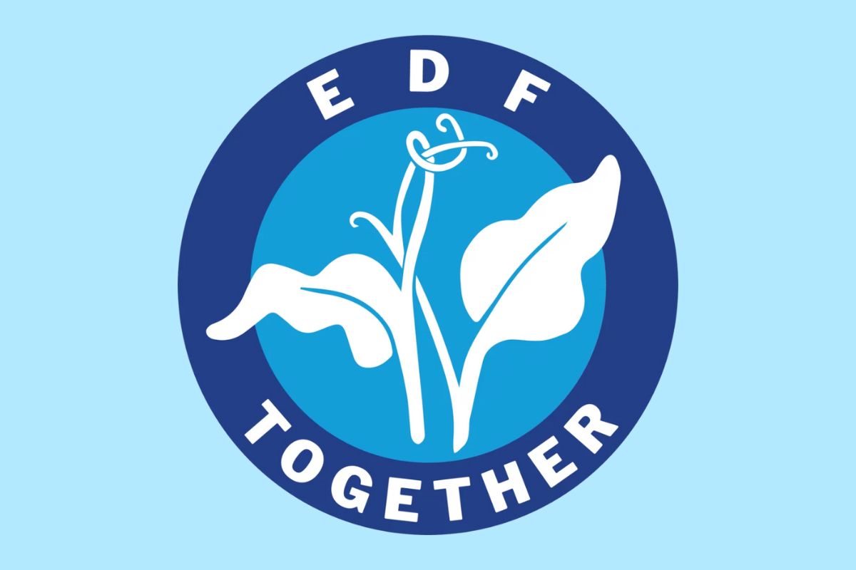 Workers at Environmental Defense Fund win union election, forming the largest green nonprofit union in the U.S. | The NewsGuild - TNG-CWA