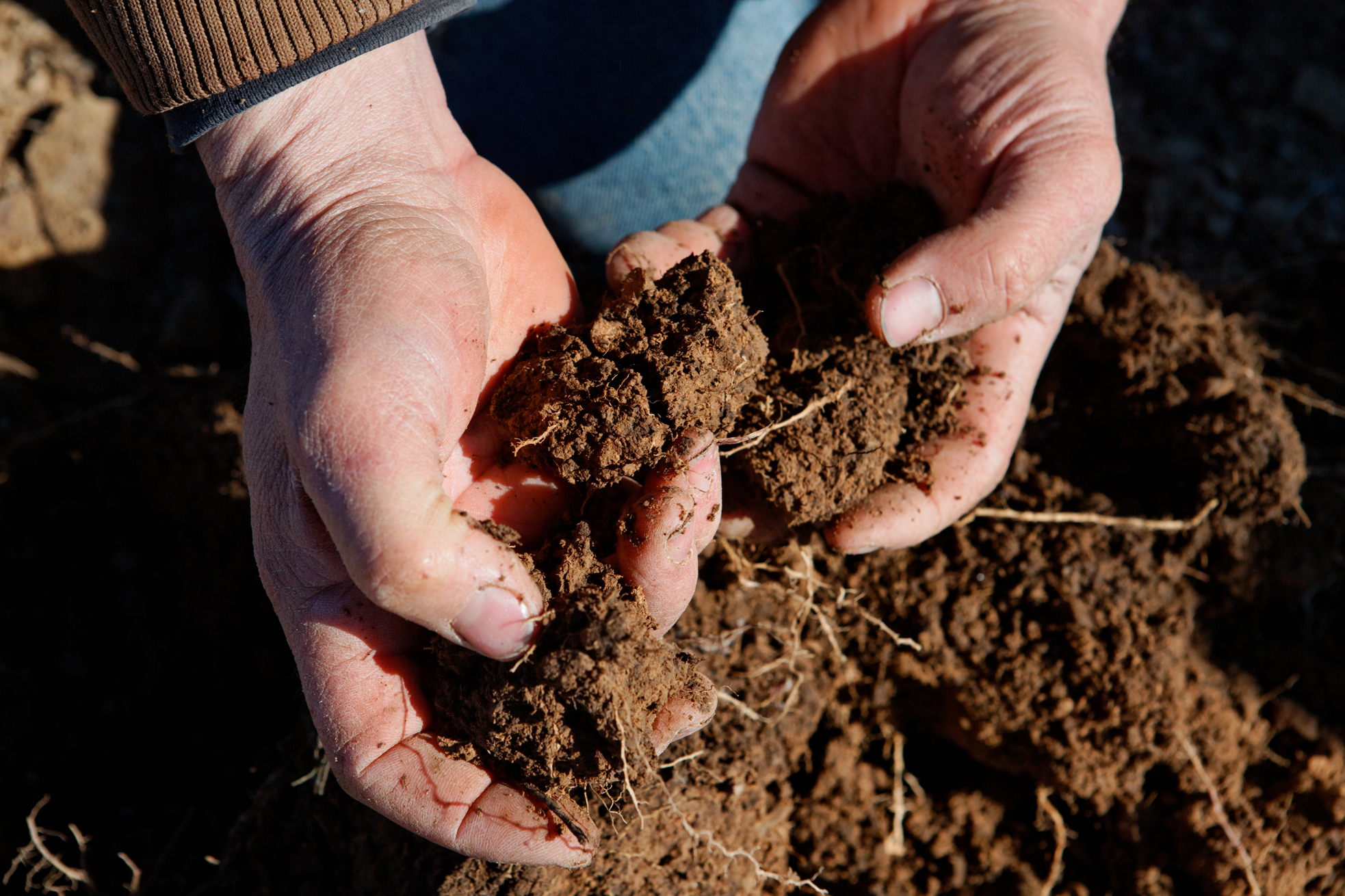 Regenerative agriculture is helping one Colorado farmer use less water