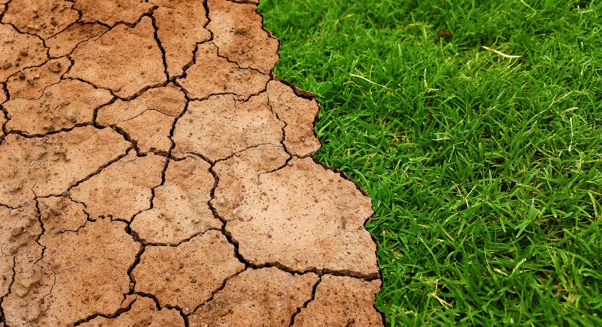 NICCDIES | Climate Change Impacts