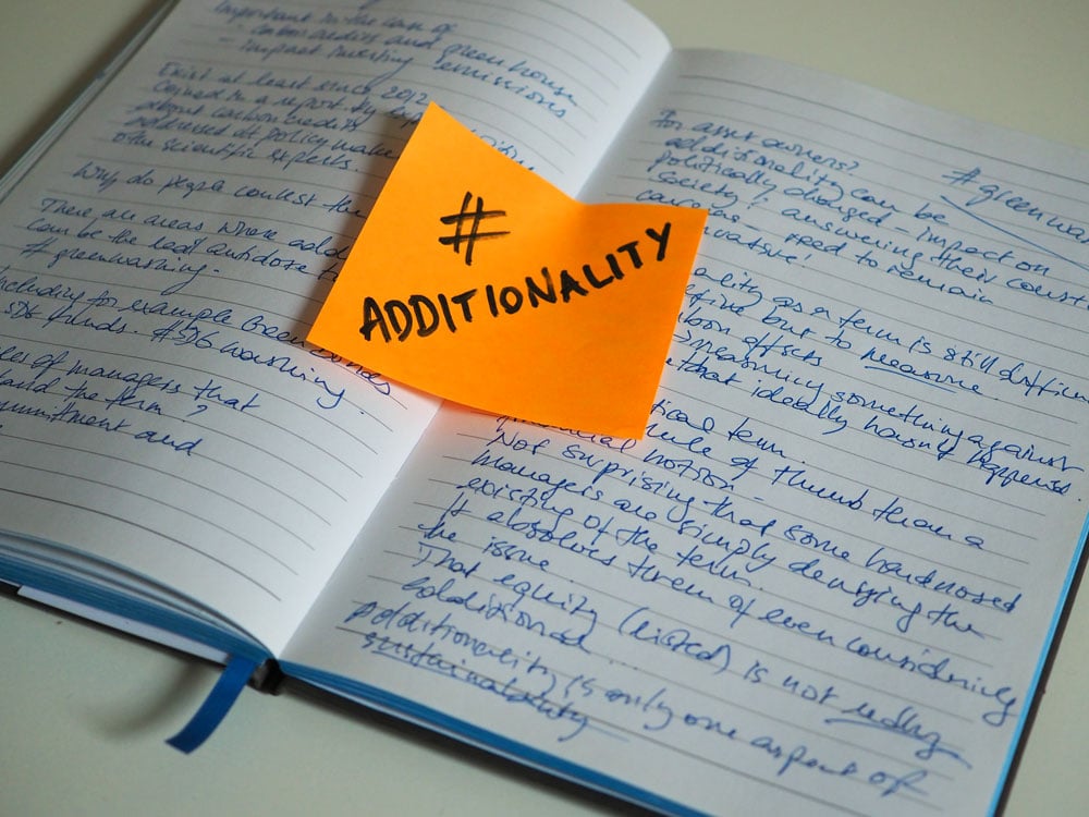 What is Additionality? | NordSip