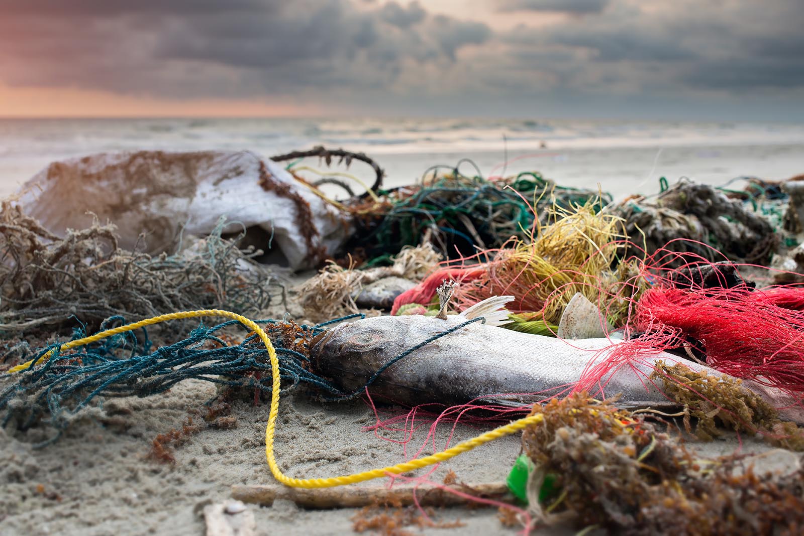 A new approach to cutting marine plastic pollution
