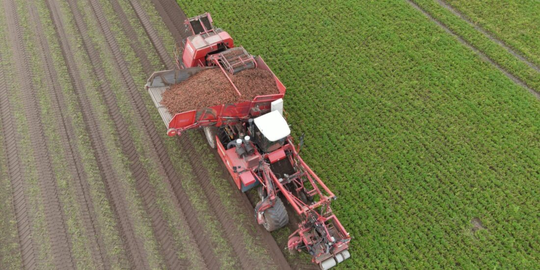 Eliminating plastic consumption by using agricultural residues