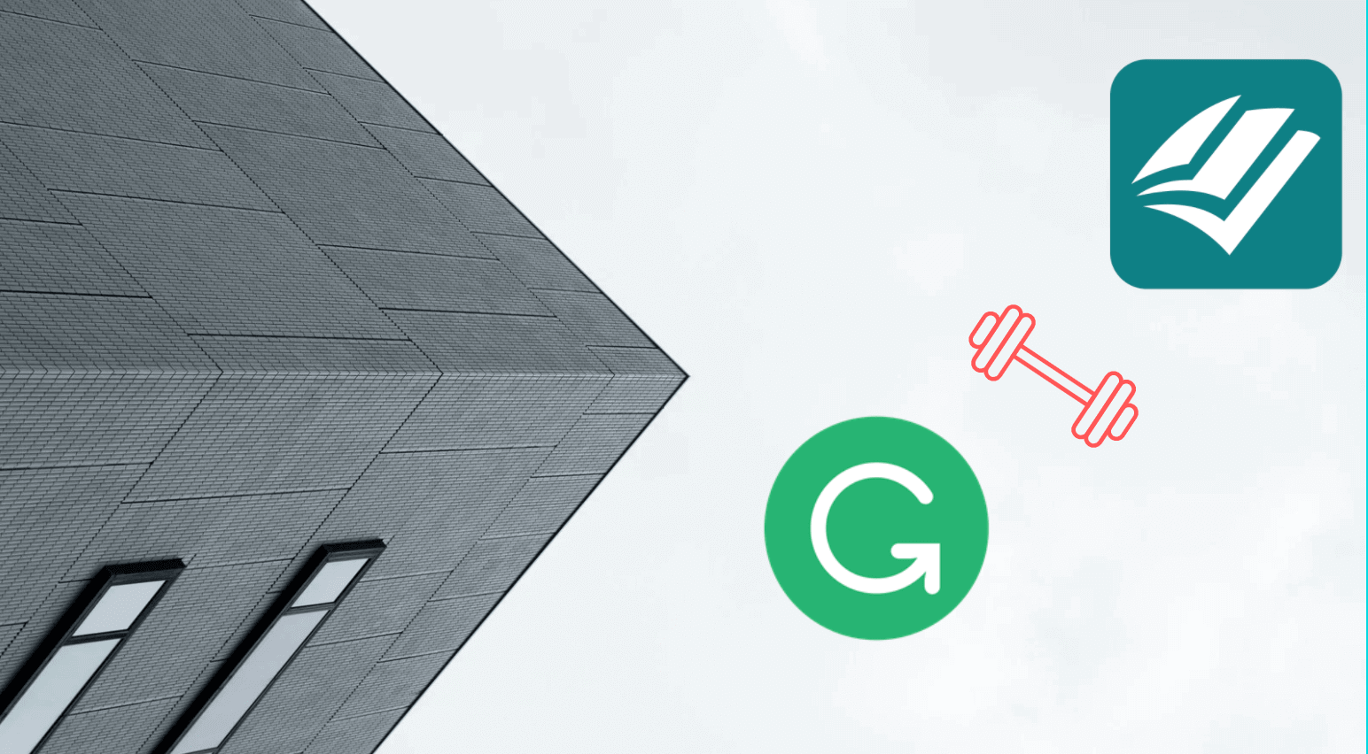 ProWritingAid vs Grammarly: Which One Should You Go For?