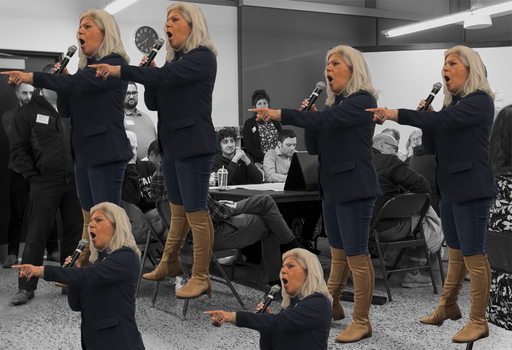 Op-Ed: We Just Want Safety While Vickie Paladino Wants Chaos and Danger - Streetsblog New York City