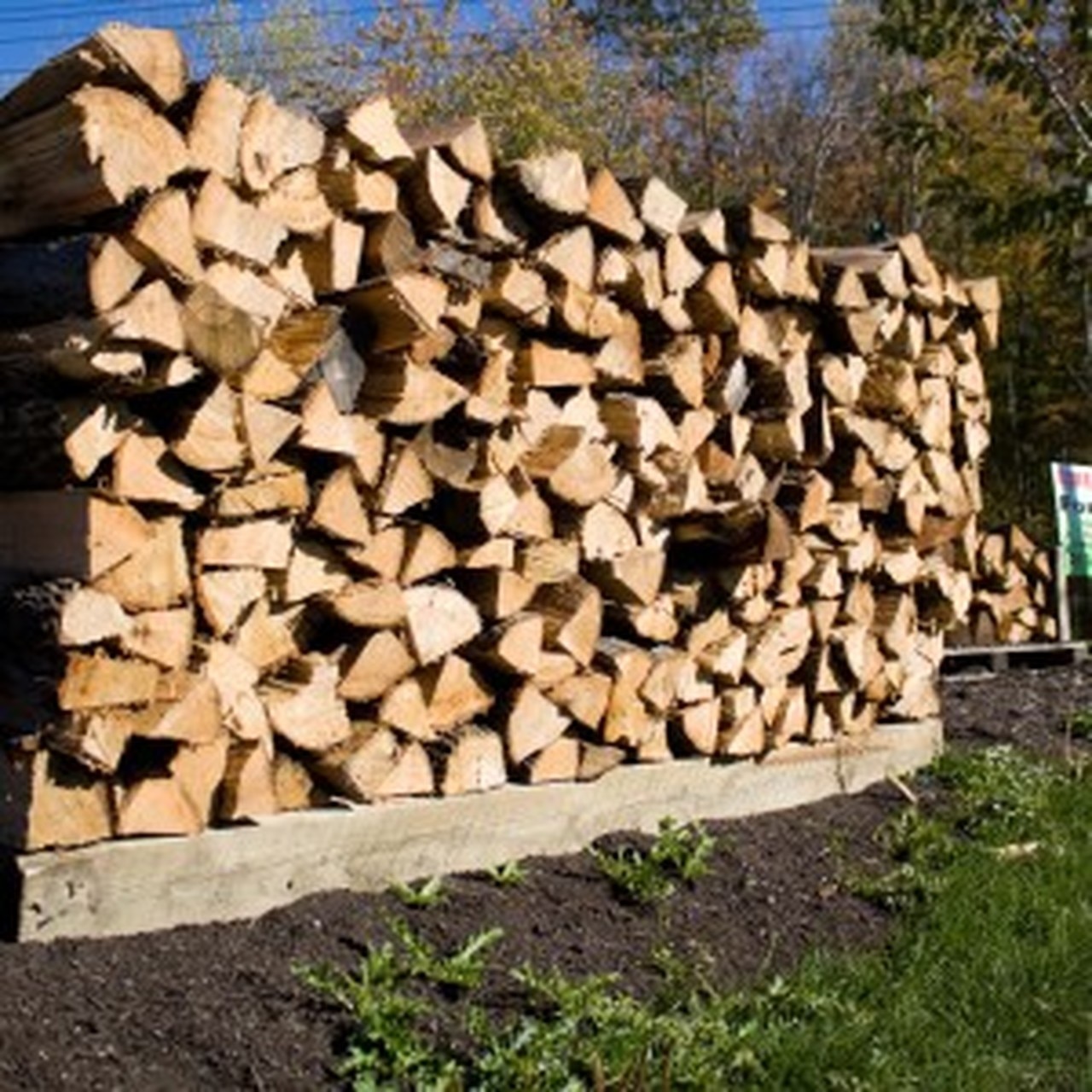 Neighborhood resources: Where to find food, warming centers and firewood - Oak Cliff