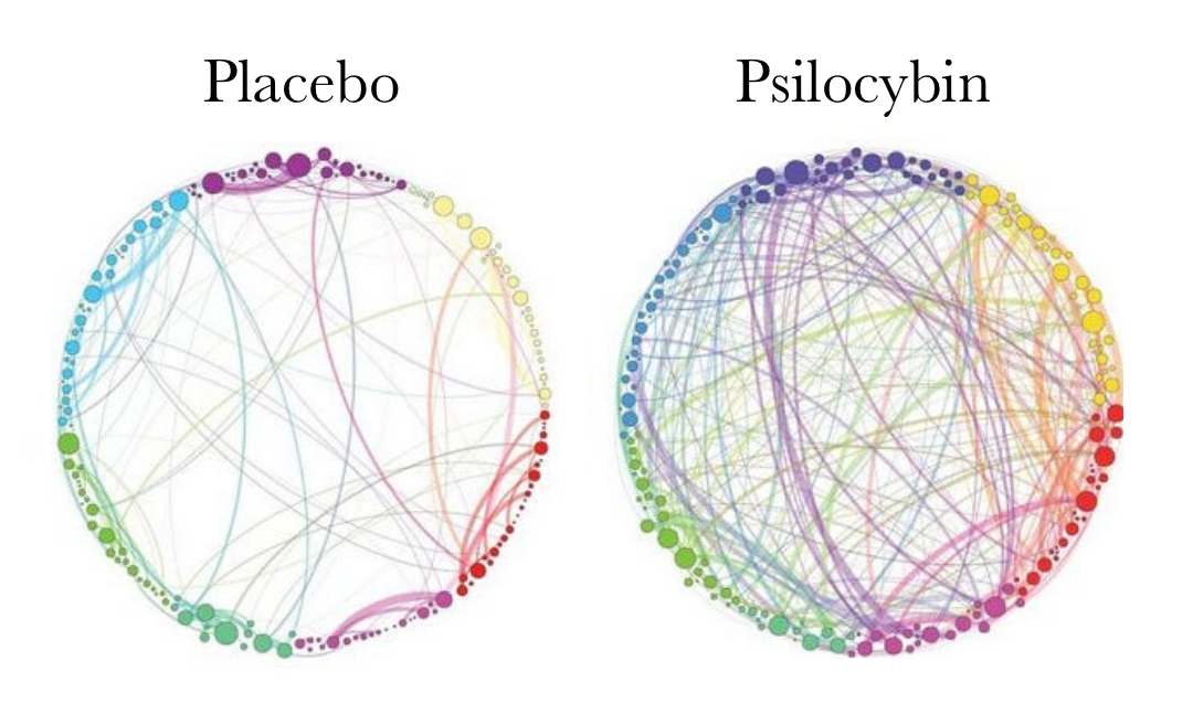 How Psychedelics improve your brain’s Neuroplasticity