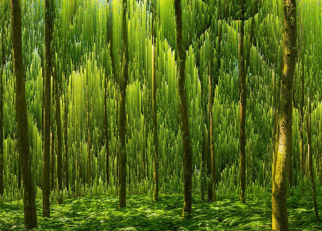 The Coming Electrification of Everything - Obvious
