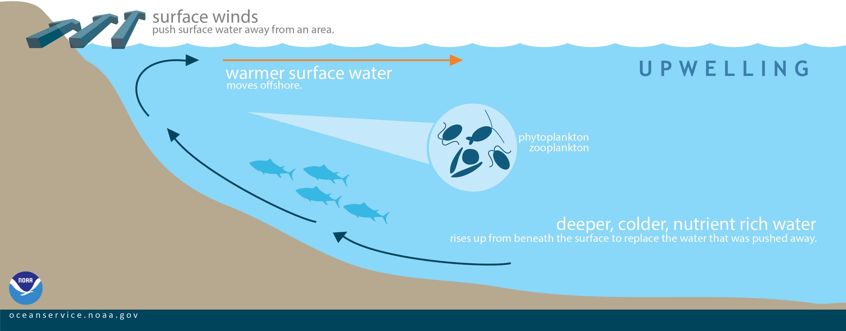 What is upwelling?
