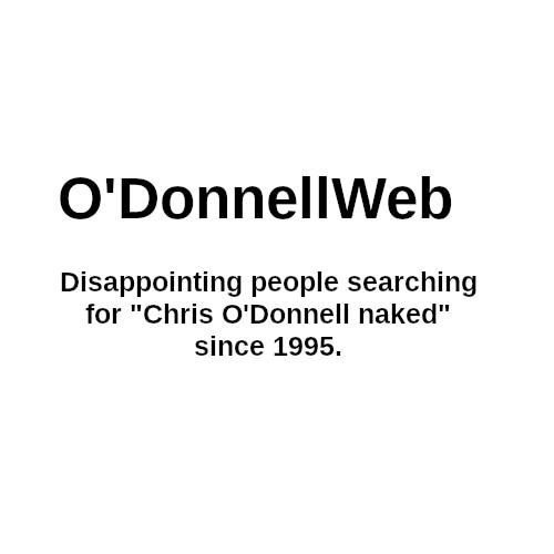 ODonnellWeb – Small Spaces Big Buzz - A Zine