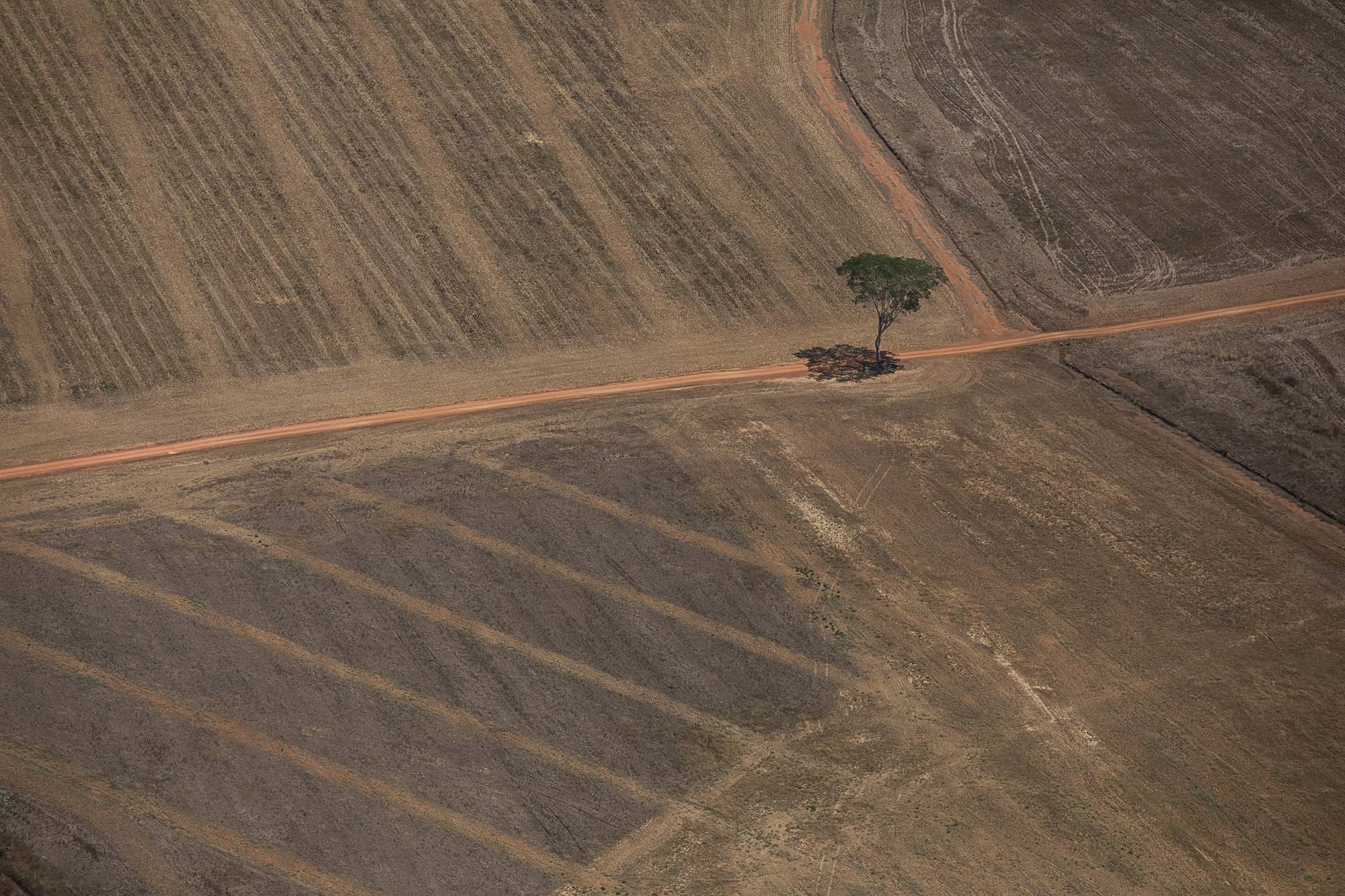 4 milhões de hectares de incerteza: do alerta à fiscalização - ((o))eco