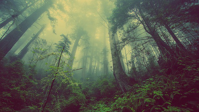 How to Invest a Lump Sum