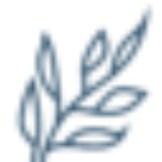 Upcoming SIG elections 2024 - OHBM Sustainability and Environment Action Special Interest Group