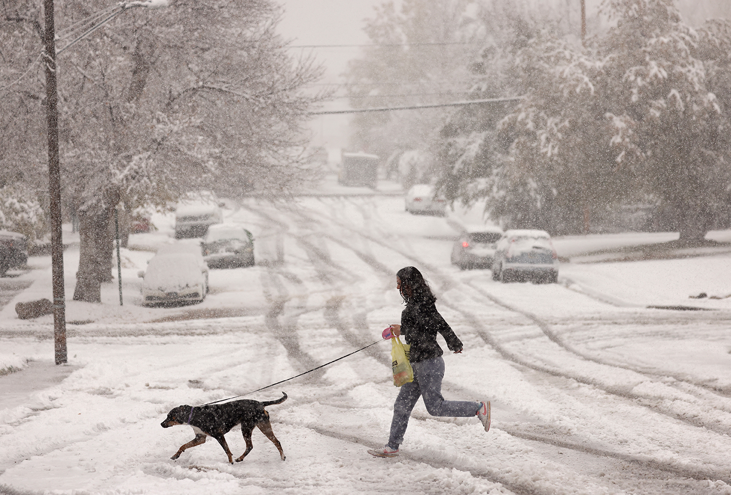 (PHOTOS) Casper turns wintry white in first significant snow of season - Casper, WY Oil City News