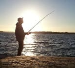 Modern and Accessible <marquee> with TailwindCSS – olavihaapala.fi – Personal Blog