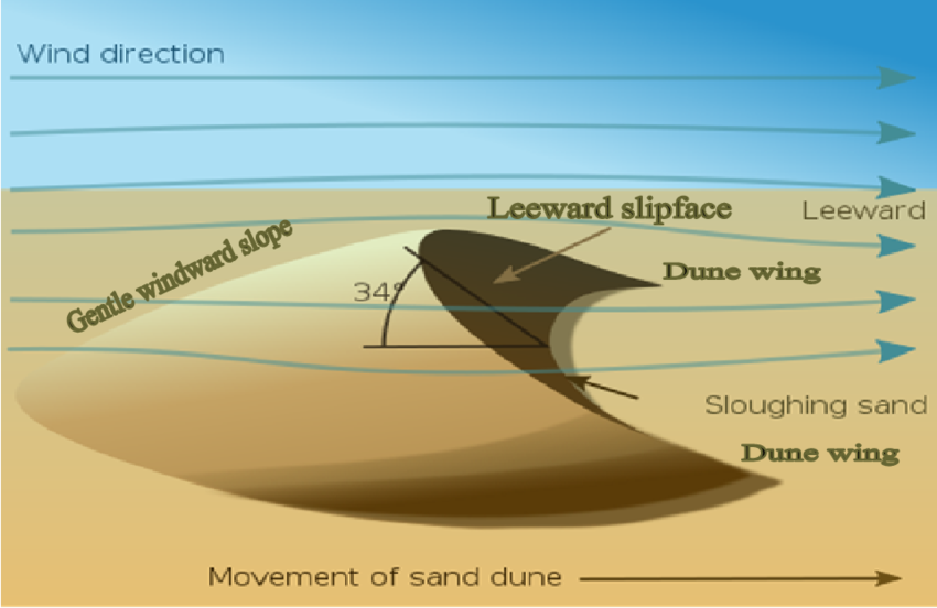 Sand Dunes and their classification - opengeology.in
