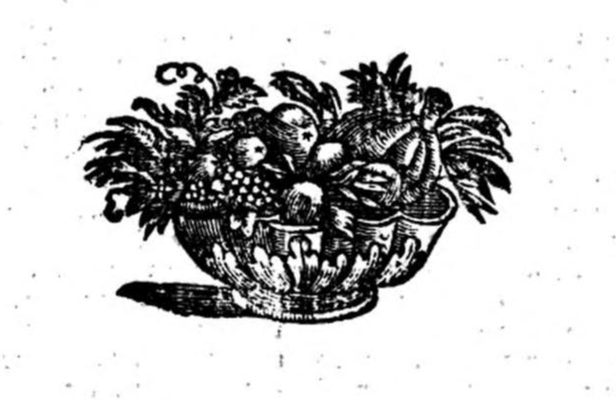 📖 פְּרִי עֵץ הֲדַר | Pri Ets Hadar (Fruit of the Majestic Tree), the original seder for Tu biShvat (School of Rabbi Yitsḥak Luria, circa 17th century) • the Open Siddur Project ✍ פְּרוֺיֶקְט הַסִּדּוּר הַפָּתוּחַ