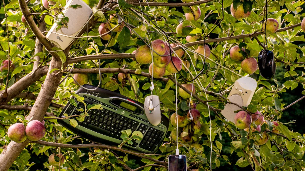 How open source is addressing food sovereignty | Opensource.com
