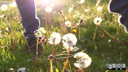 Practical guide for avoiding burnout and living a happier life | Opensource.com
