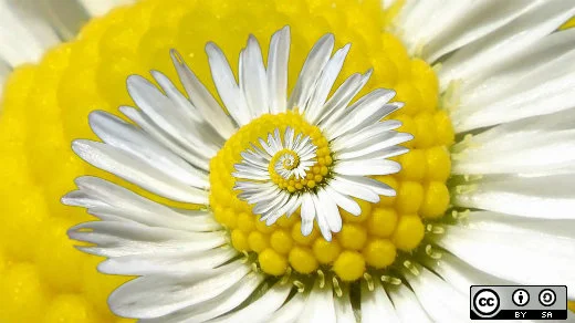 10 ways the GIMP image editor changed my life | Opensource.com