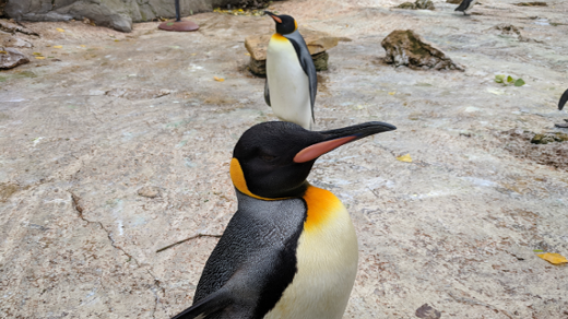 How did you get started with Linux? | Opensource.com